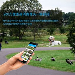 树懒型宠物GPS定位器深度评测 防摔防水，守护你的慢节奏伙伴