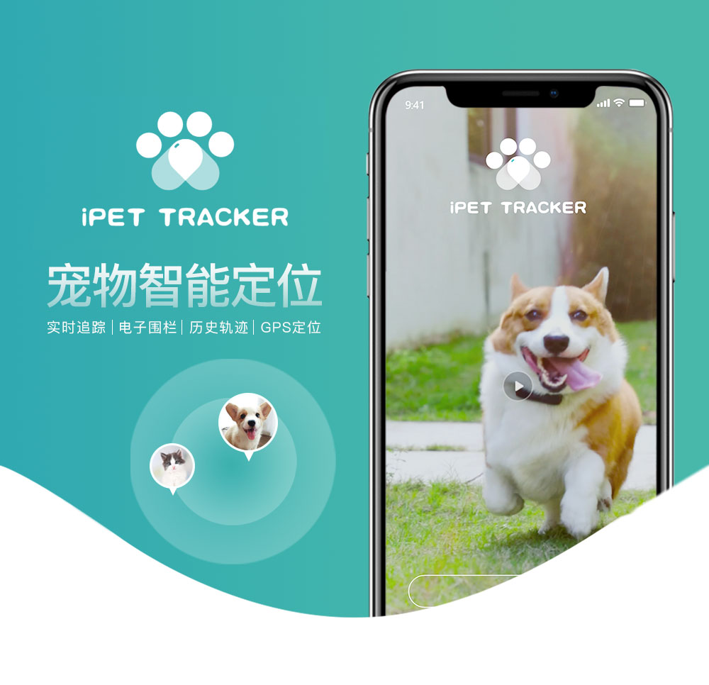 智能宠物用品APP定制开发 宠物的安全守护与智慧伙伴
