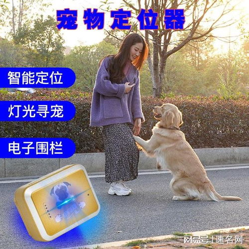 狗狗gps定位项圈哪个品牌好